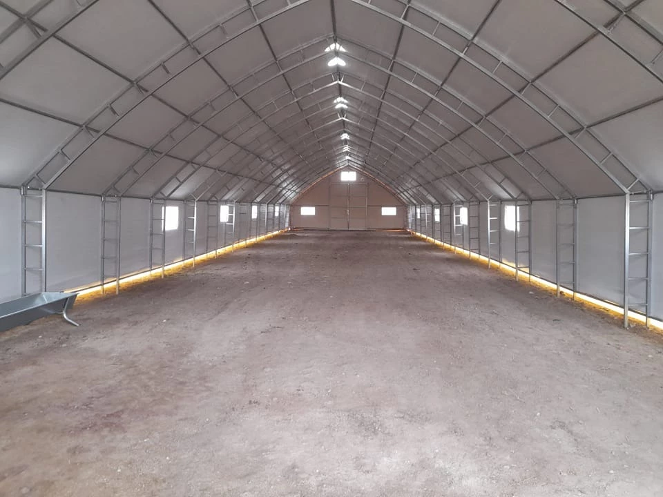 WhatsApp Image 2024-07-19 at 11.58.09.jpeg