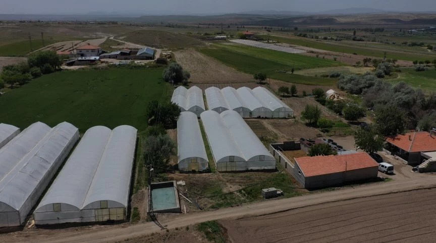 cc9e955f-20fd-418e-a79d-4ebb6bda62da.jfif