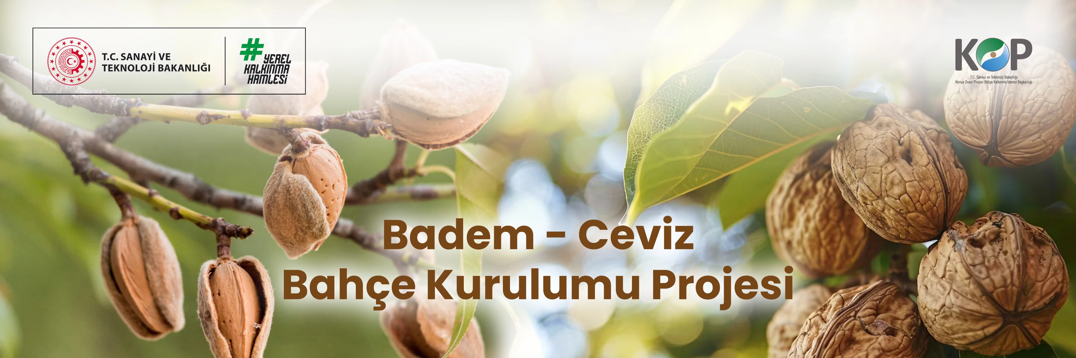 Badem - Ceviz Bahçe Kurulumu.jpg